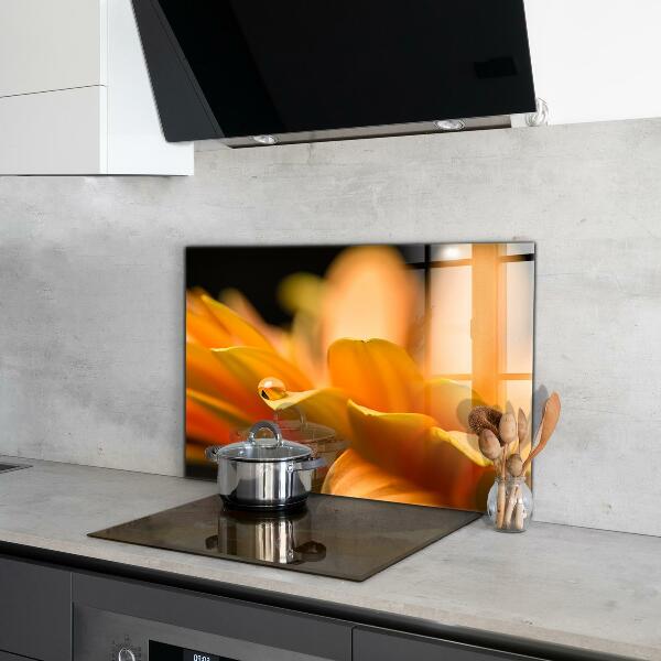 Paneles de vidrio para la cocina Flor de gerbera