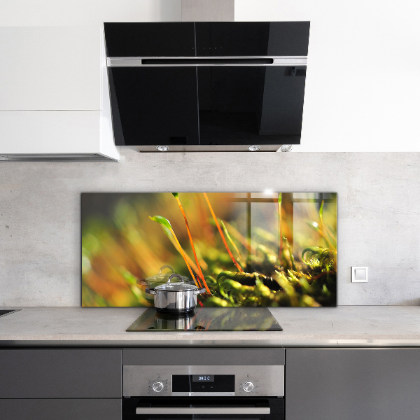 Paneles de vidrio para la cocina Detalles del musgo del bosque