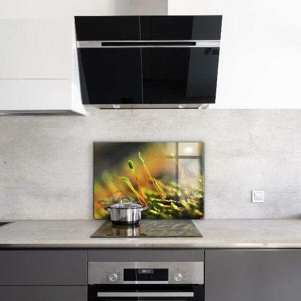 Paneles de vidrio para la cocina Detalles del musgo del bosque