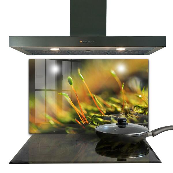 Paneles de vidrio para la cocina Detalles del musgo del bosque