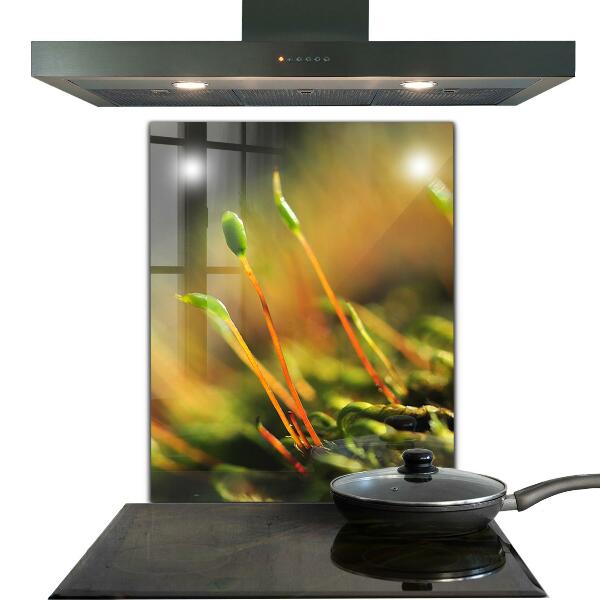 Paneles de vidrio para la cocina Detalles del musgo del bosque