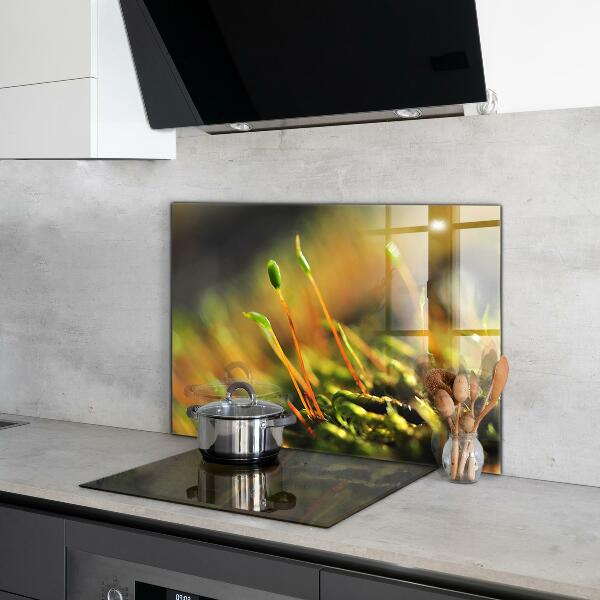 Paneles de vidrio para la cocina Detalles del musgo del bosque