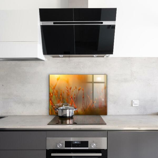 Paneles de vidrio para la cocina Campo de cereales al atardecer