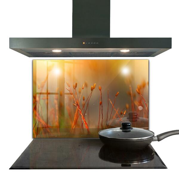 Paneles de vidrio para la cocina Campo de cereales al atardecer