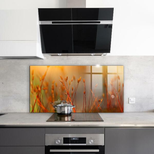 Paneles de vidrio para la cocina Campo de cereales al atardecer