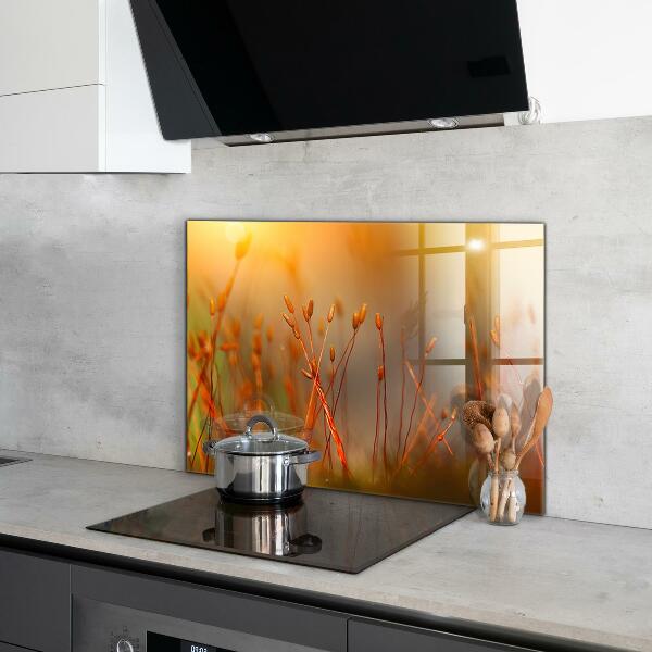 Paneles de vidrio para la cocina Campo de cereales al atardecer