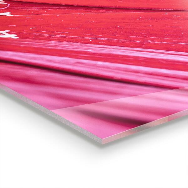 Paneles de vidrio para la cocina Detalles de la naturaleza de la flor rosa