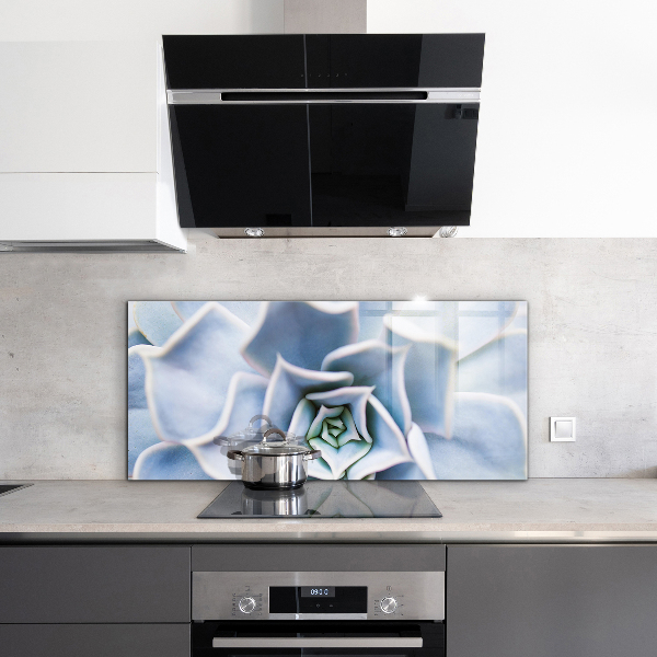 Paneles de vidrio para la cocina Cactus suculentas