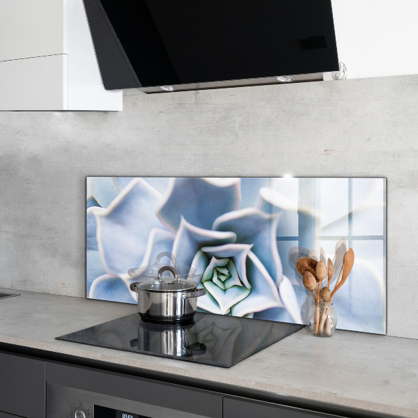 Paneles de vidrio para la cocina Cactus suculentas