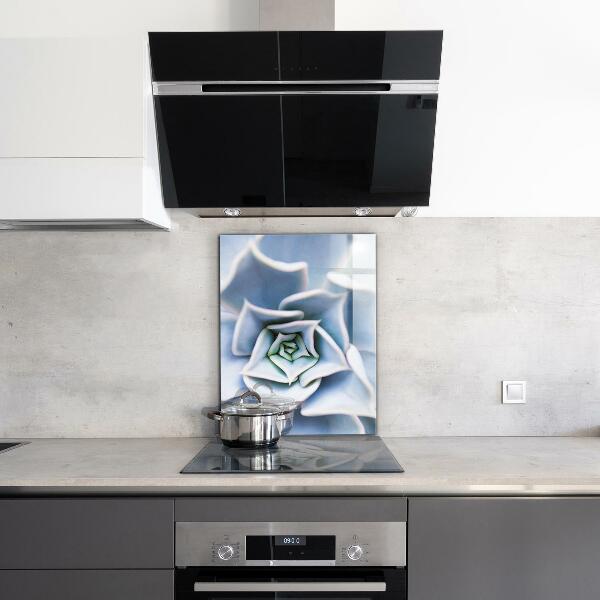 Paneles de vidrio para la cocina Cactus suculentas