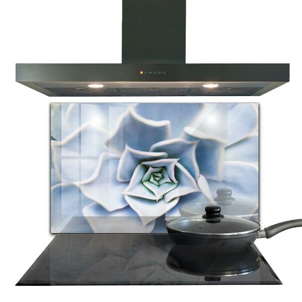 Paneles de vidrio para la cocina Cactus suculentas