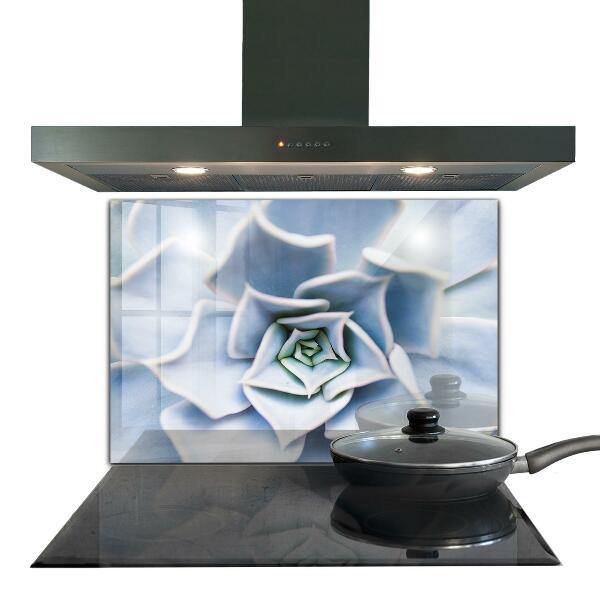 Paneles de vidrio para la cocina Cactus suculentas