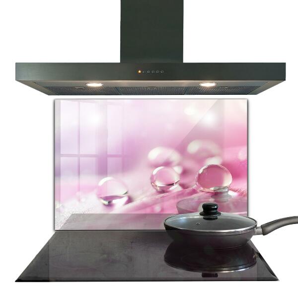 Paneles de vidrio para la cocina Gotas de rocío sobre una flor rosa