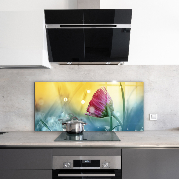 Paneles de vidrio para la cocina Margarita delicada en la pradera