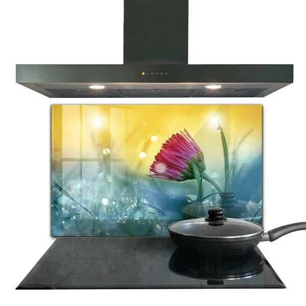 Paneles de vidrio para la cocina Margarita delicada en la pradera