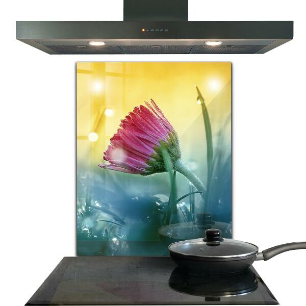 Paneles de vidrio para la cocina Margarita delicada en la pradera