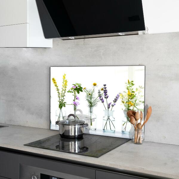 Paneles de vidrio para la cocina Salud de hierbas naturales