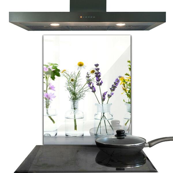 Paneles de vidrio para la cocina Salud de hierbas naturales