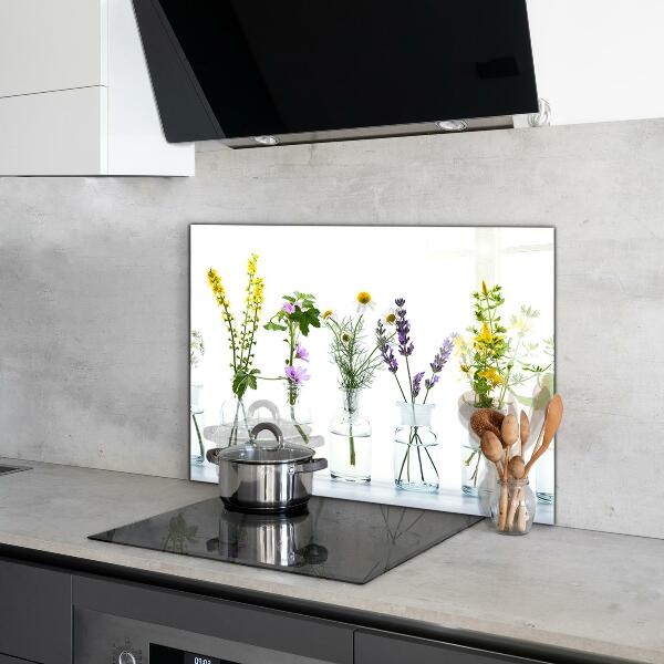 Paneles de vidrio para la cocina Salud de hierbas naturales