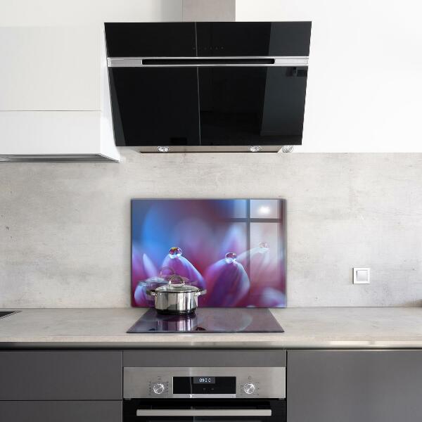 Paneles de vidrio para la cocina Gotas de rocío flor púrpura