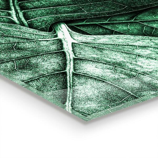 Paneles de vidrio para la cocina Detalles de la hoja verde