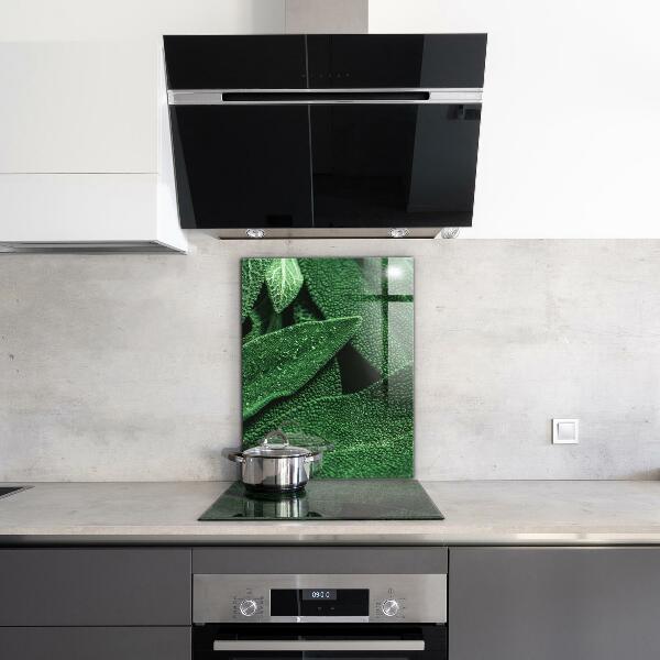 Paneles de vidrio para la cocina Hojas verdes después de la lluvia