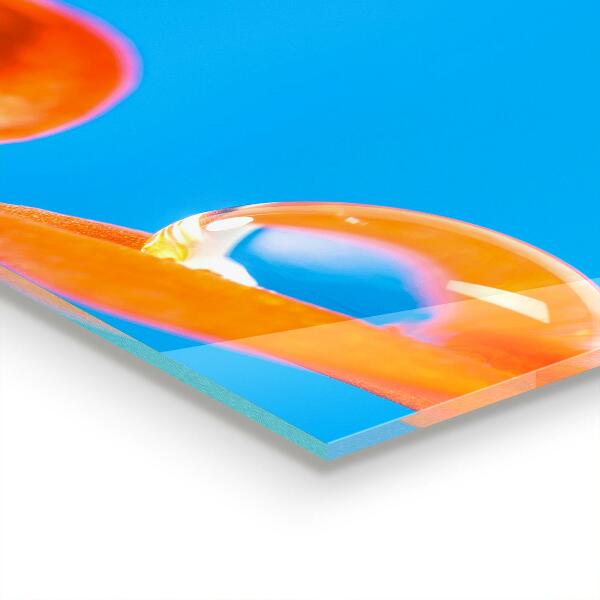 Paneles de vidrio para la cocina Flor naranja