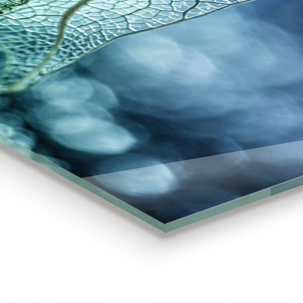 Paneles de vidrio para la cocina Textura de hoja delicada