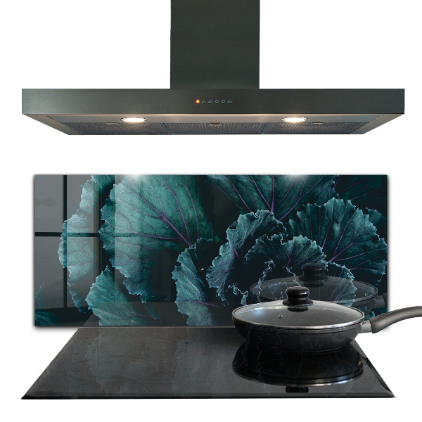 Paneles de vidrio para la cocina Hojas de col verde oscuro