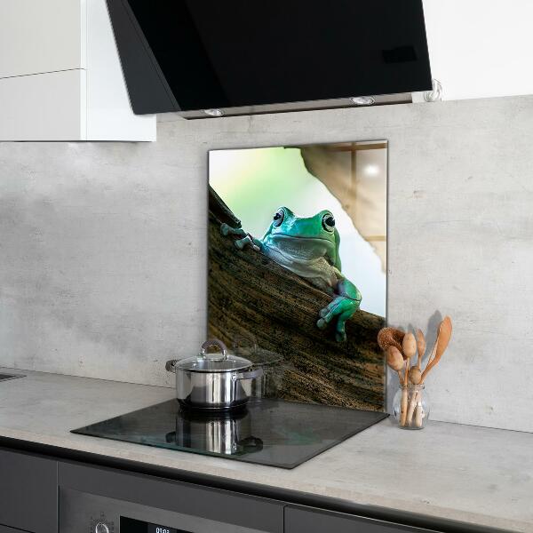 Paneles de pared Rana curiosa sobre una hoja