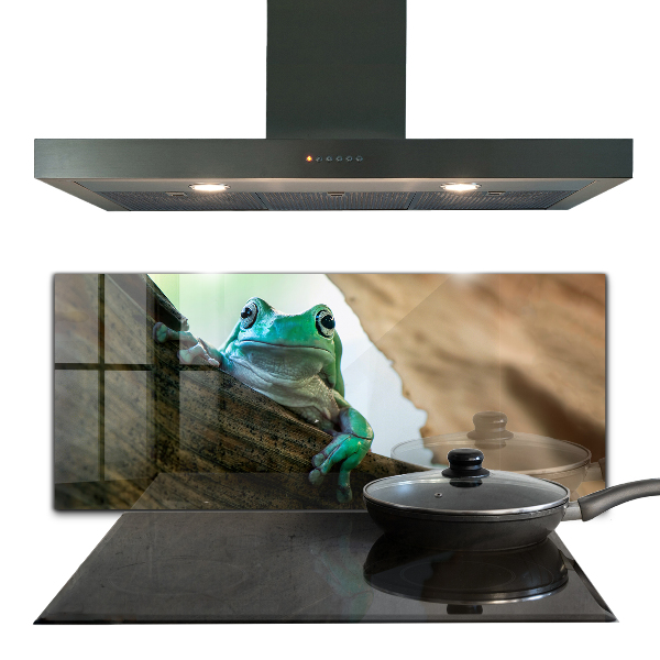 Paneles de pared Rana curiosa sobre una hoja