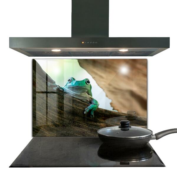 Paneles de pared Rana curiosa sobre una hoja