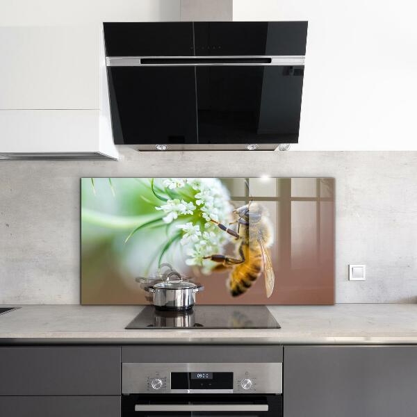 Paneles de pared Abeja recogiendo polen