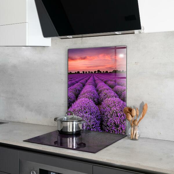 Paneles de vidrio para la cocina Paisaje de campo de lavanda