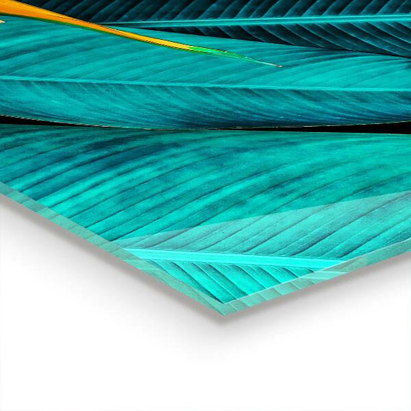 Paneles de vidrio para la cocina Flor exótica tropical