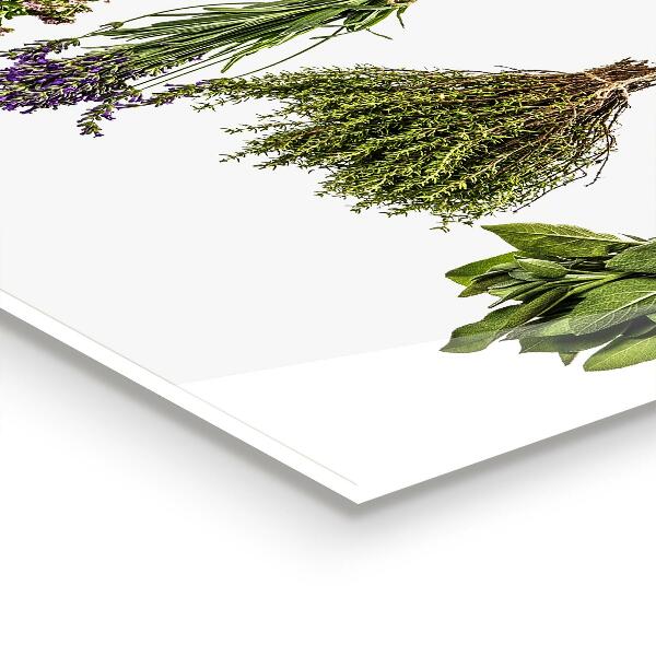 Paneles de pared Hierbas secas el poder de la naturaleza