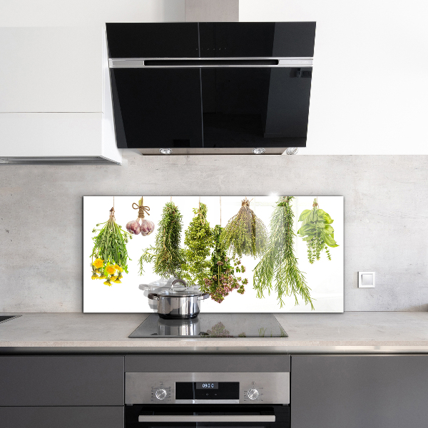 Paneles de pared Hierbas secas medicina herbaria