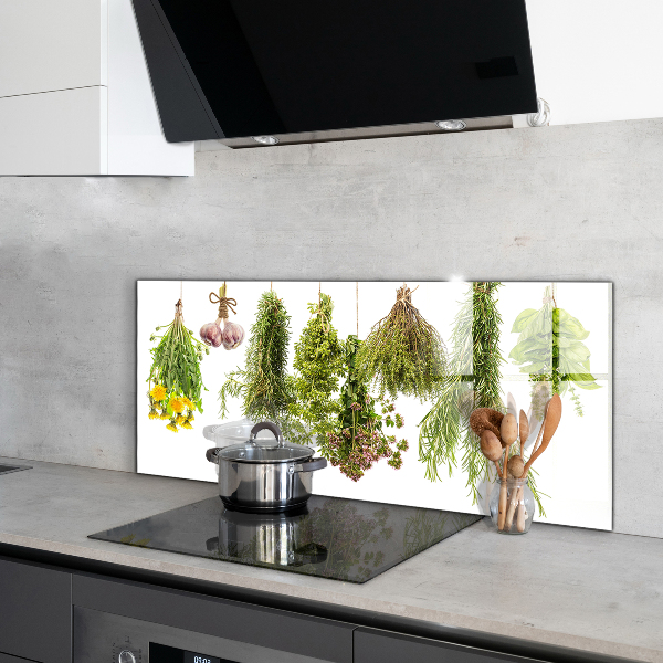 Paneles de pared Hierbas secas medicina herbaria