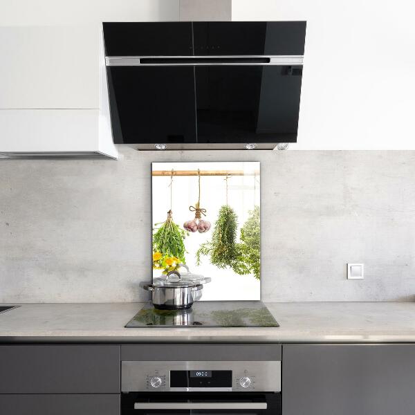 Paneles de pared Hierbas secas medicina herbaria