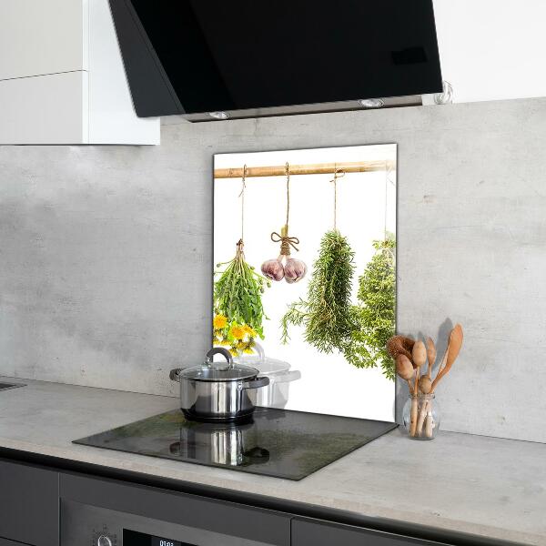 Paneles de pared Hierbas secas medicina herbaria