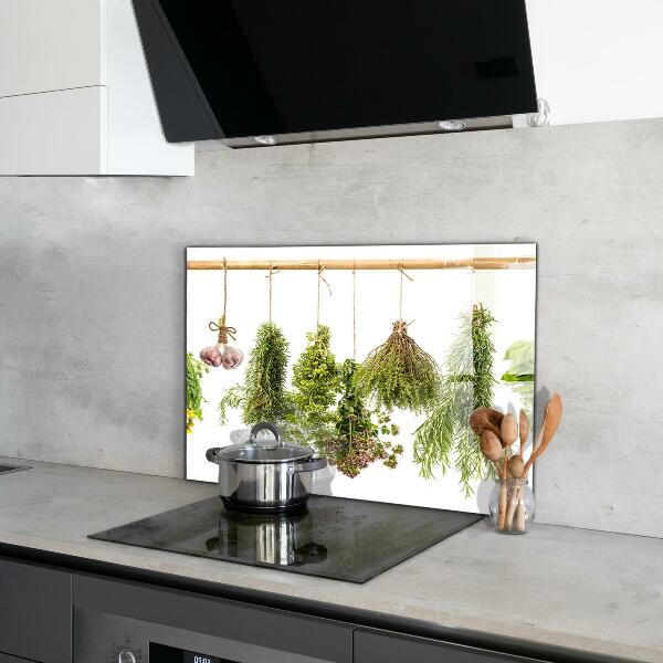 Paneles de pared Hierbas secas medicina herbaria