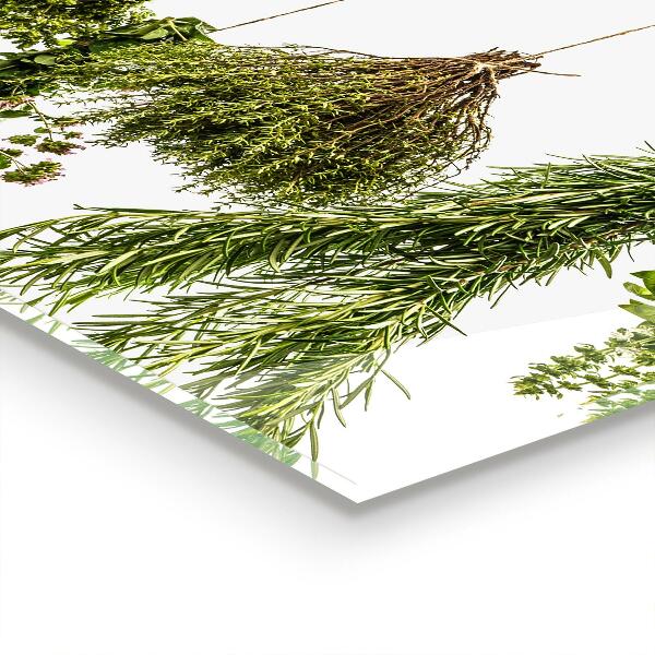 Paneles de pared Hierbas secas medicina herbaria