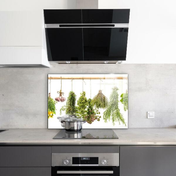 Paneles de pared Hierbas secas medicina herbaria