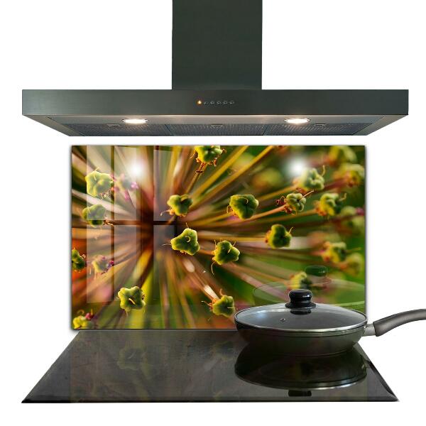 Paneles de vidrio para la cocina Fotografía macro de flores