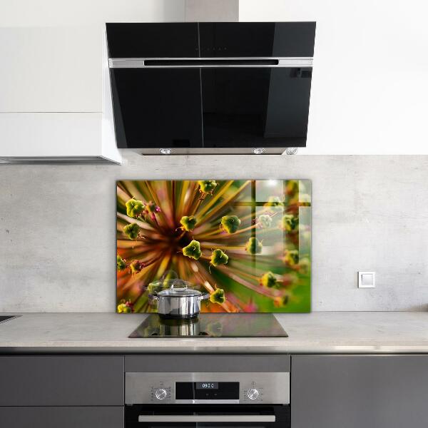 Paneles de vidrio para la cocina Fotografía macro de flores