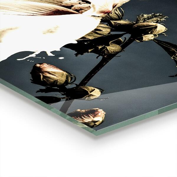 Paneles de vidrio para la cocina Flor blanca abstracta