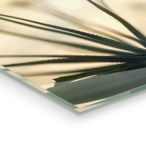 Paneles de vidrio para la cocina Hermoso y delicado diente de león