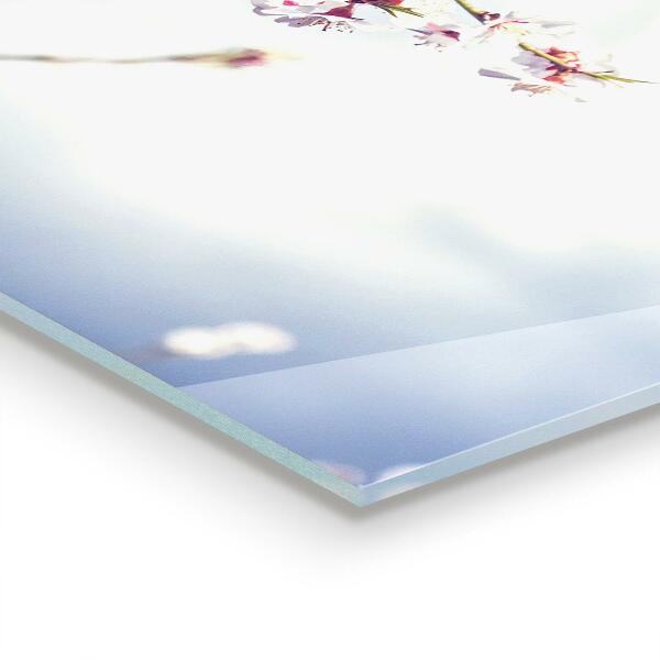 Paneles de vidrio para la cocina Delicadas flores rosadas