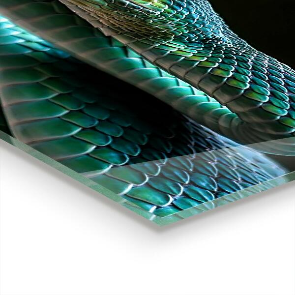 Paneles de pared Serpiente fauna