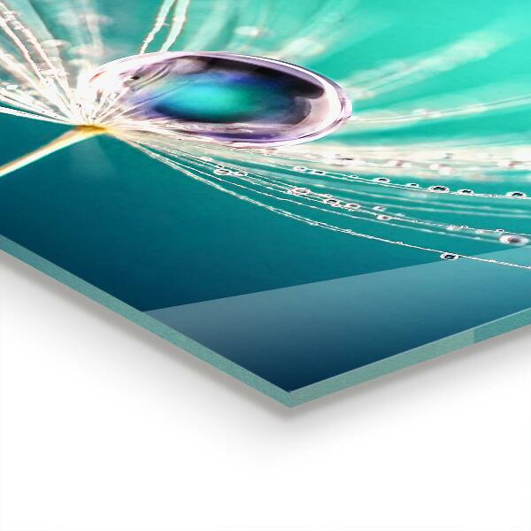 Paneles de vidrio para la cocina Diente de león con una gota de rocío